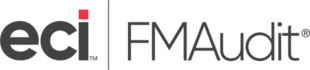 FM-Audit